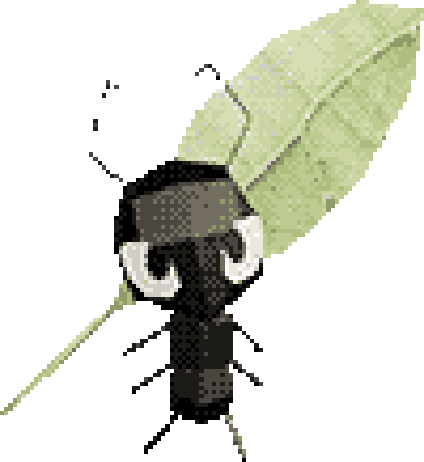 Protagonista Antenna